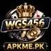 WGS456 Game